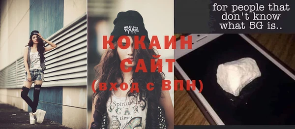 сатива Мегион
