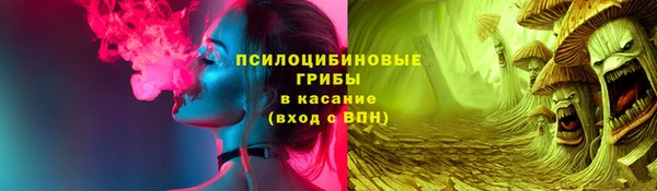 гашик Медногорск