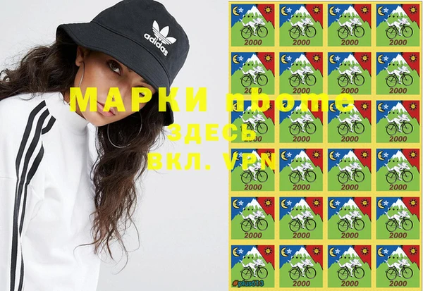 сатива Мегион