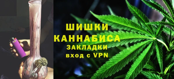 сатива Мегион