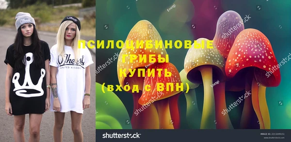 сатива Мегион