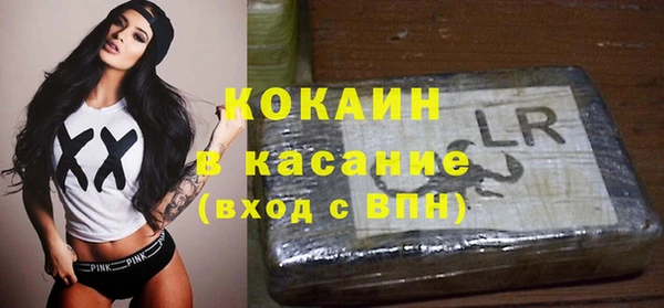 сатива Мегион