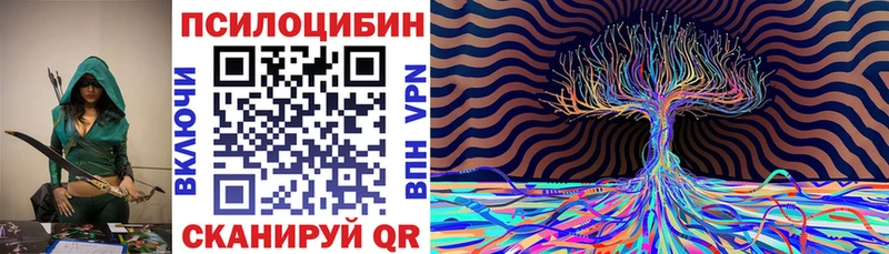 Галлюциногенные грибы Psilocybe Калининск