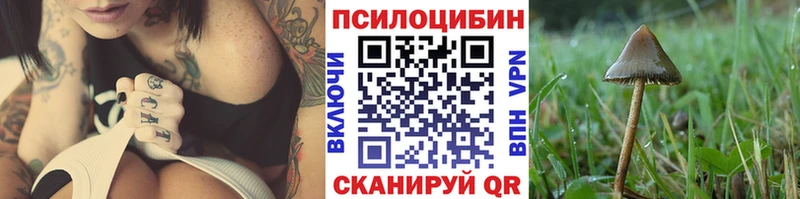 Галлюциногенные грибы Psilocybine cubensis  Купить  Калининск 